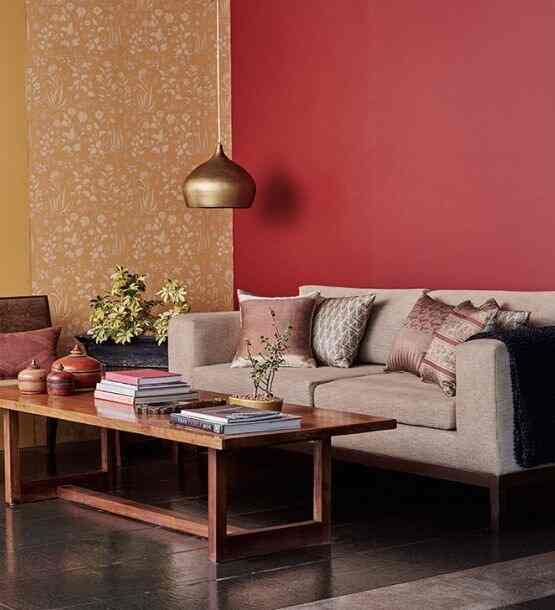 Asian paints home solutuions chennai Turkish femdom tgp free