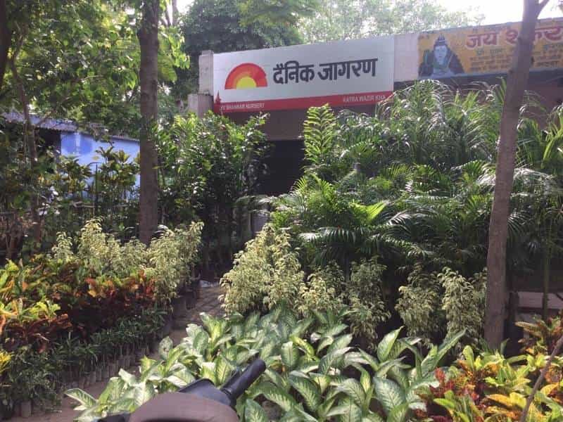 Jai Shankar Nursery Yamuna Bridge Plant Nurseries In Agra Jai Shankar Nursery Yamuna Bridge