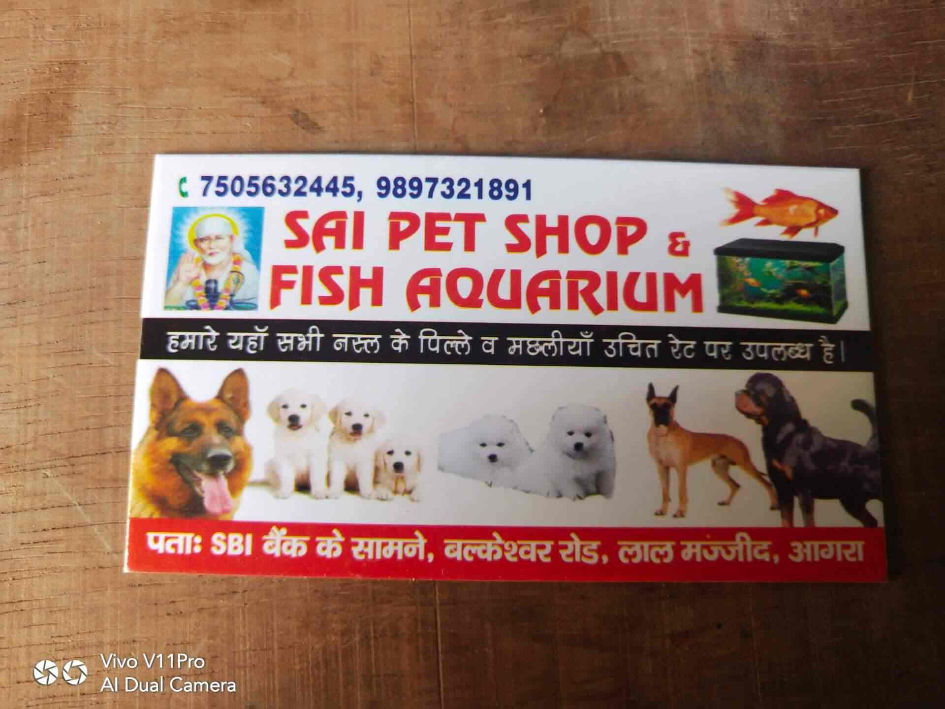 sai pet shop