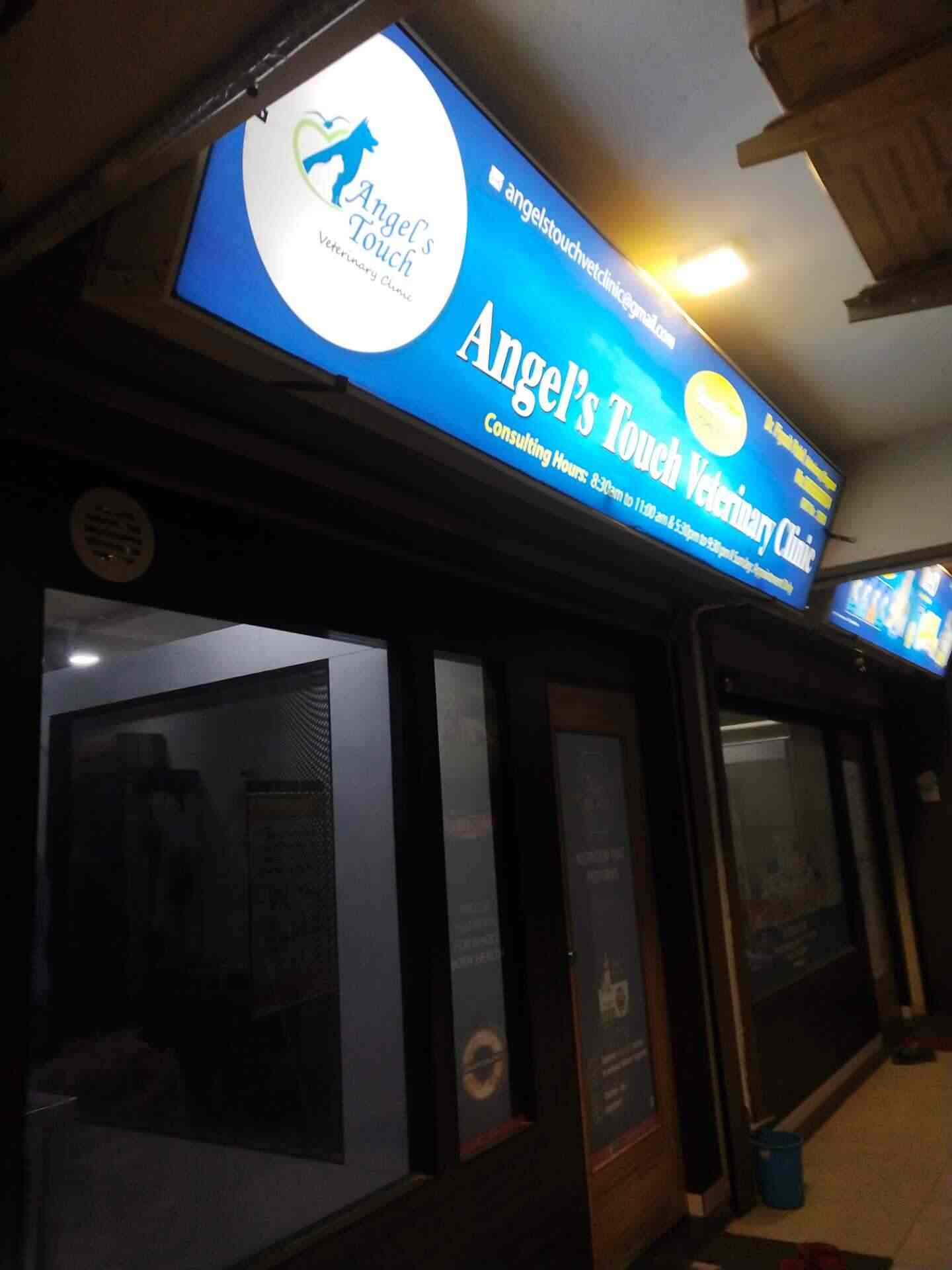 Angels Touch Veterinary Clinic Dr Piyush Patel Veterinary