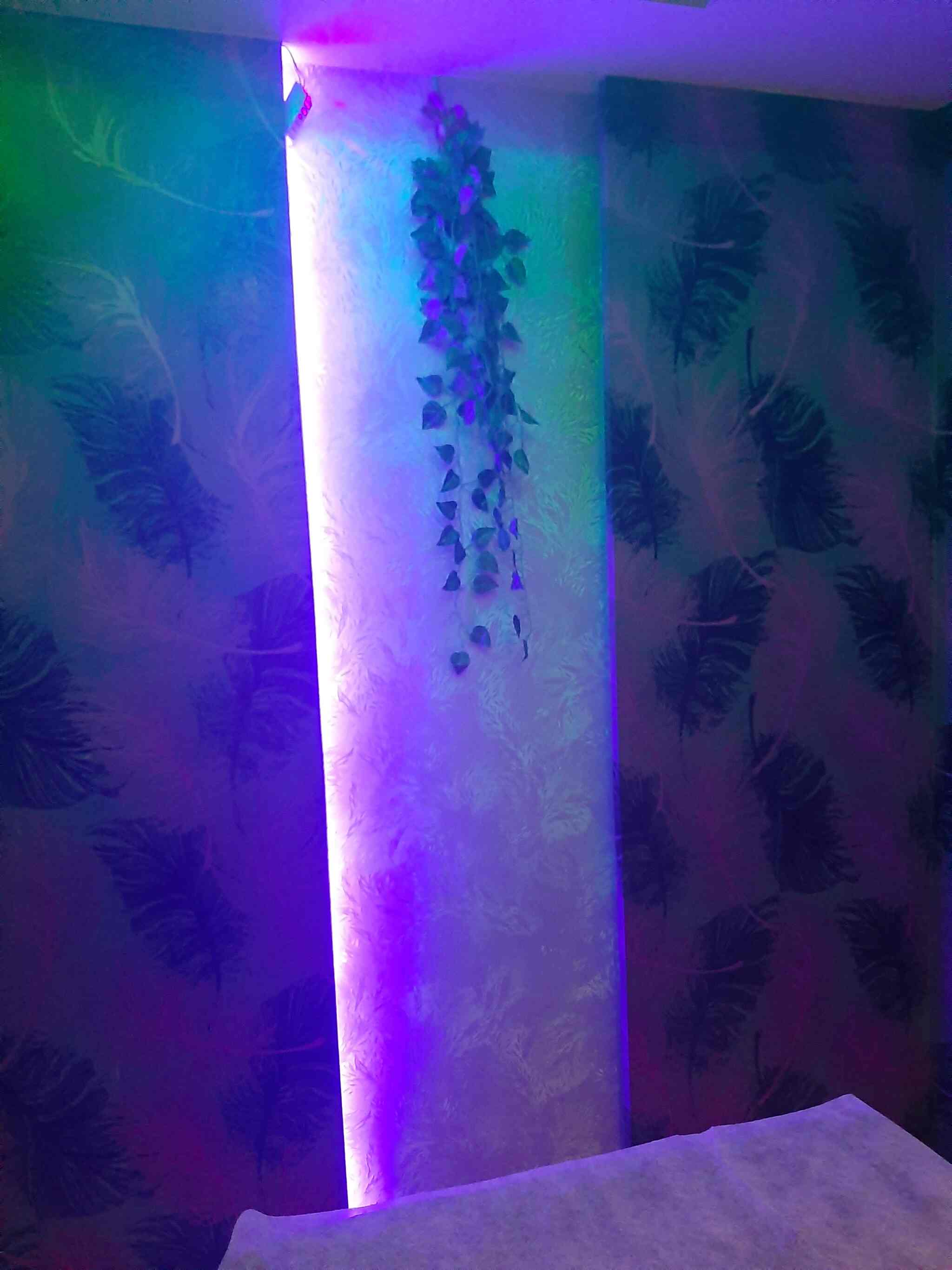 Royal spa prahladnagar Clearance