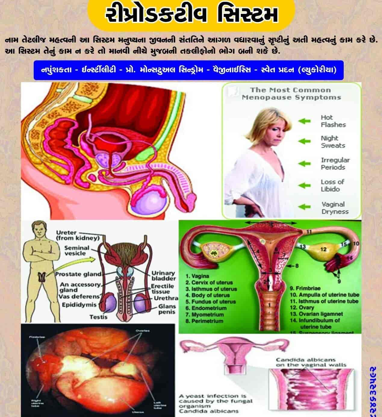 20 weight loss superfoods photo 2