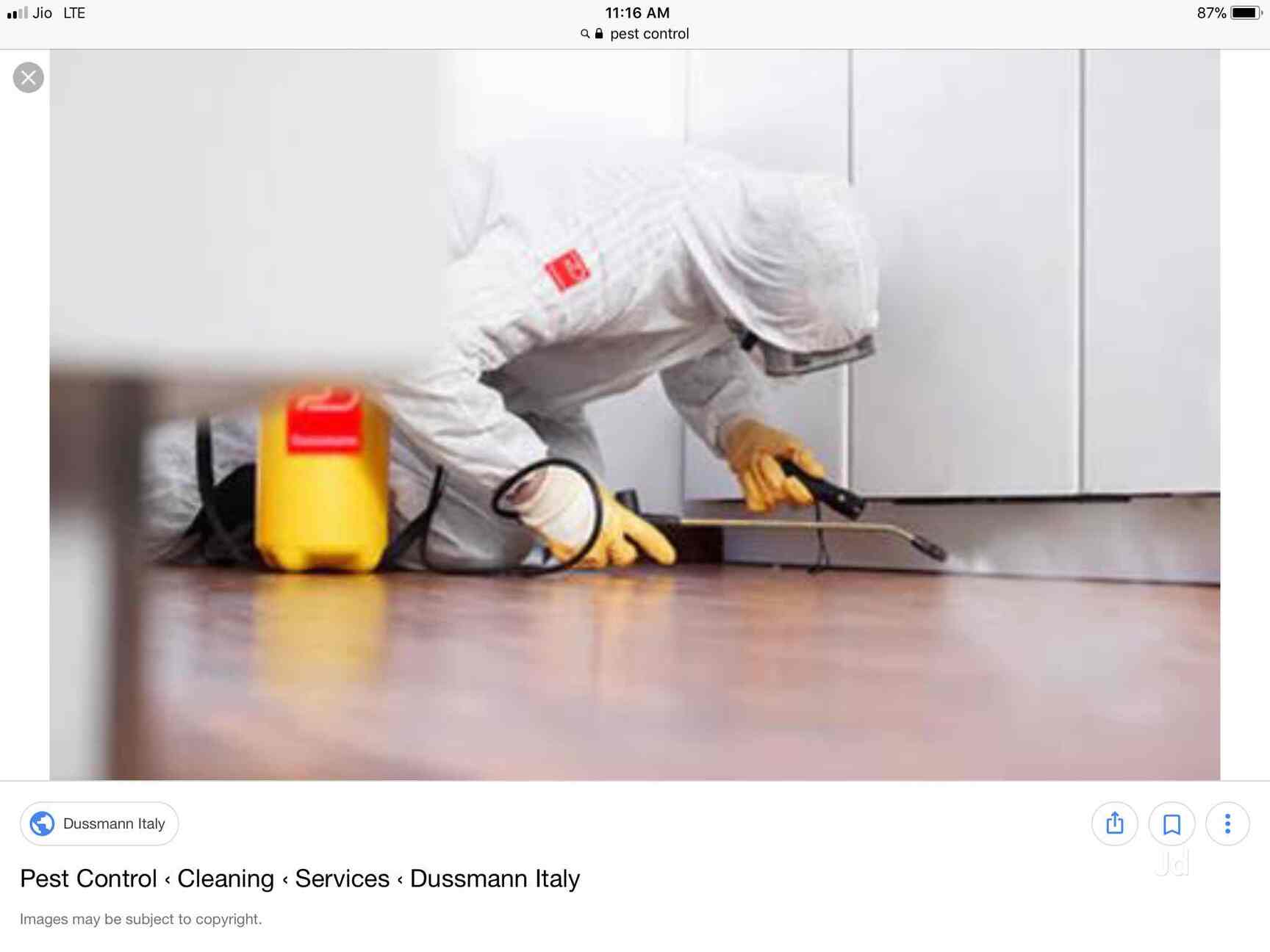 The Brothers Pest Control Management Chandkheda The Brothers Pest Control Management Chandkheda