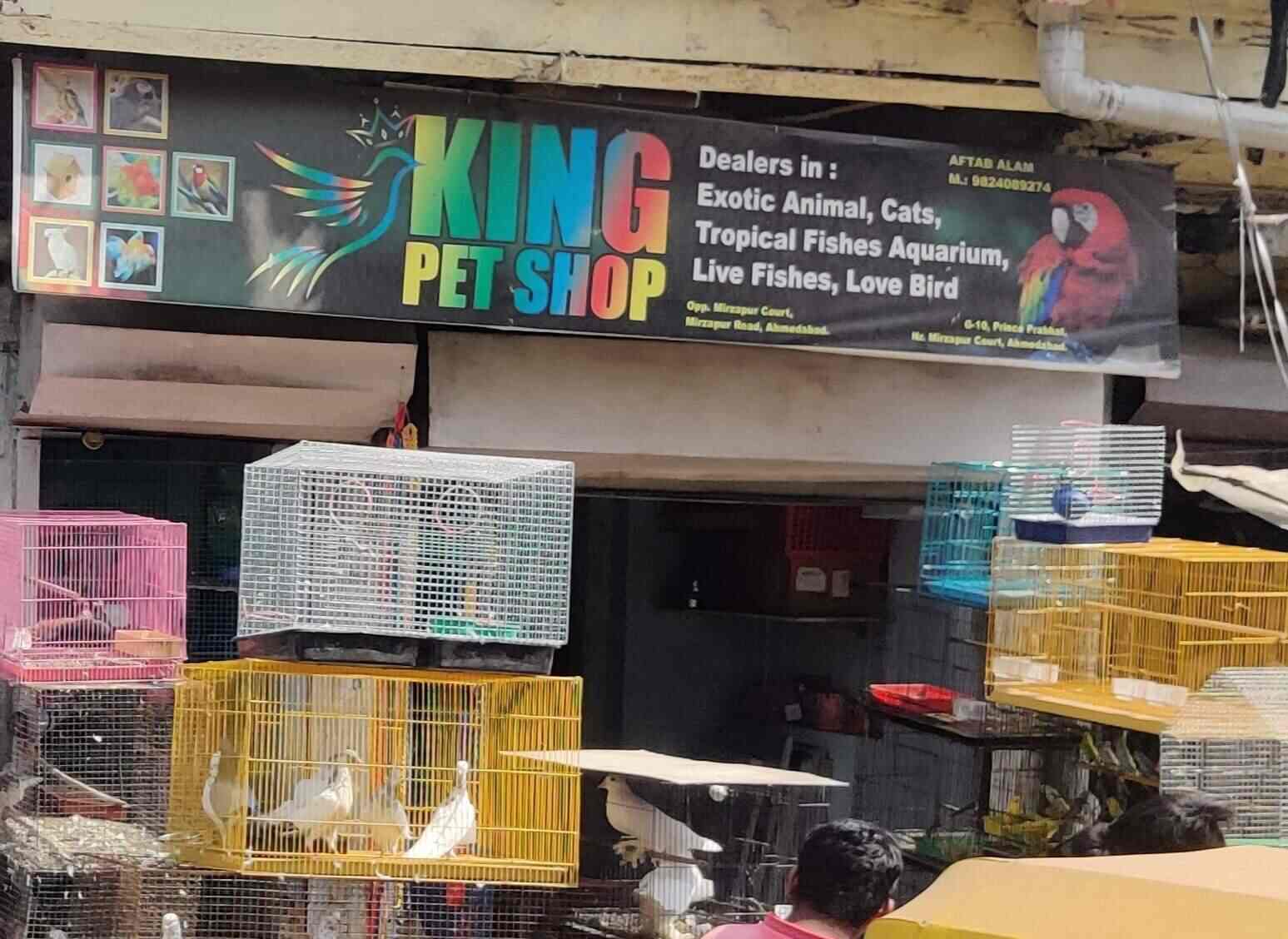 King Pet Shop in Mirzapur Ahmedabad Best Aquarium Accessory Dealers near me in Ahmedabad Justdial