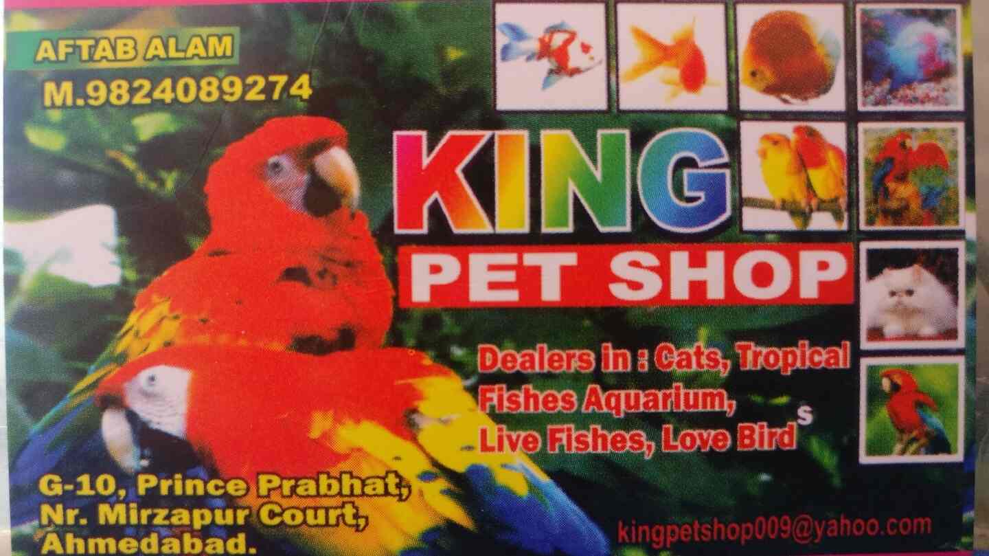 parrots king pet shop