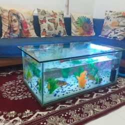 aqua pet shop near me