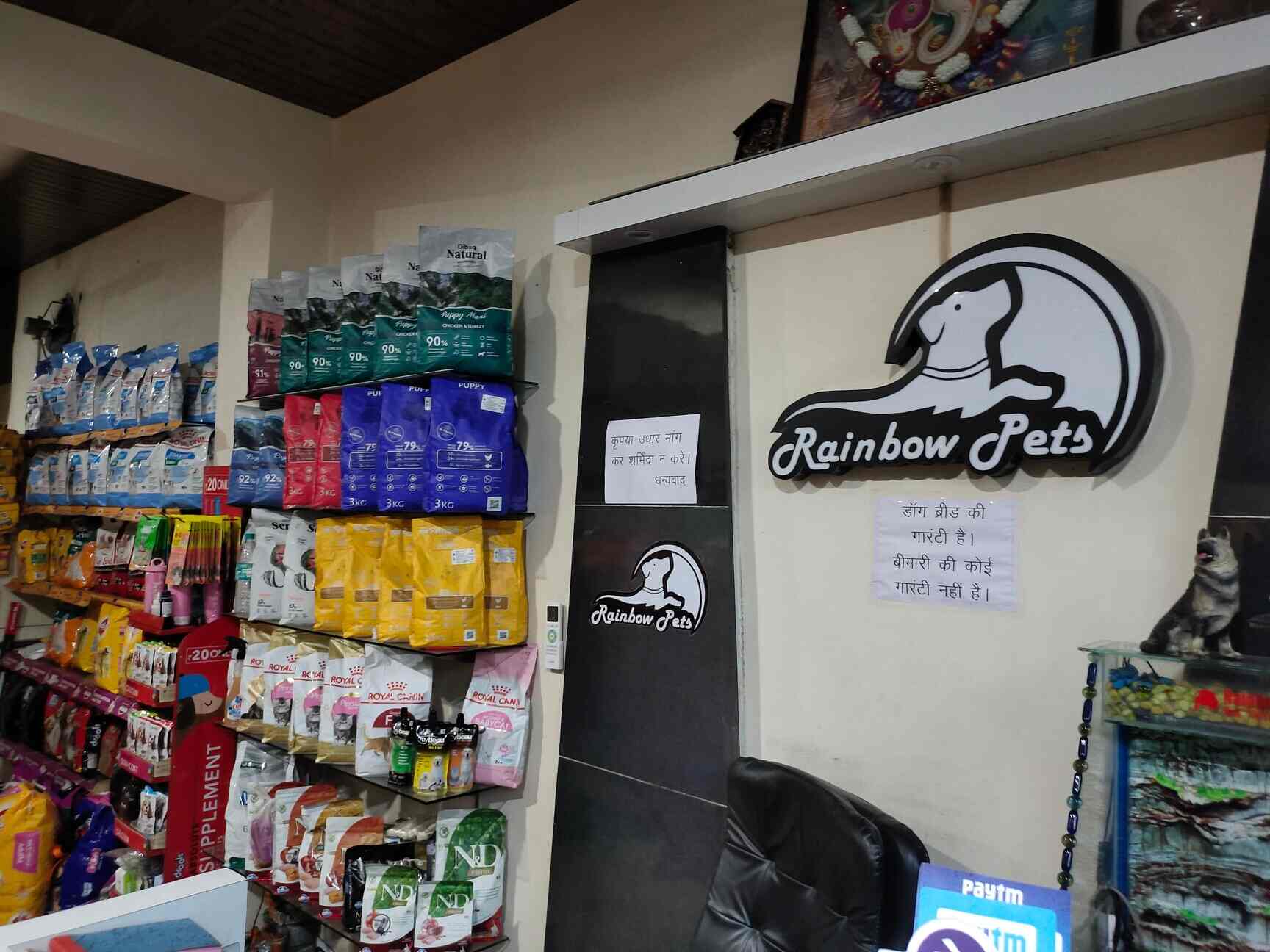 rainbow pet shop