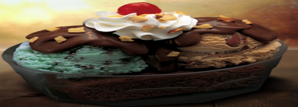 baskin robbins civil lines