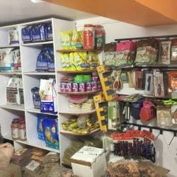 Sangam Petshop & Medical Store, Rambagh - Pet Shops in Allahabad