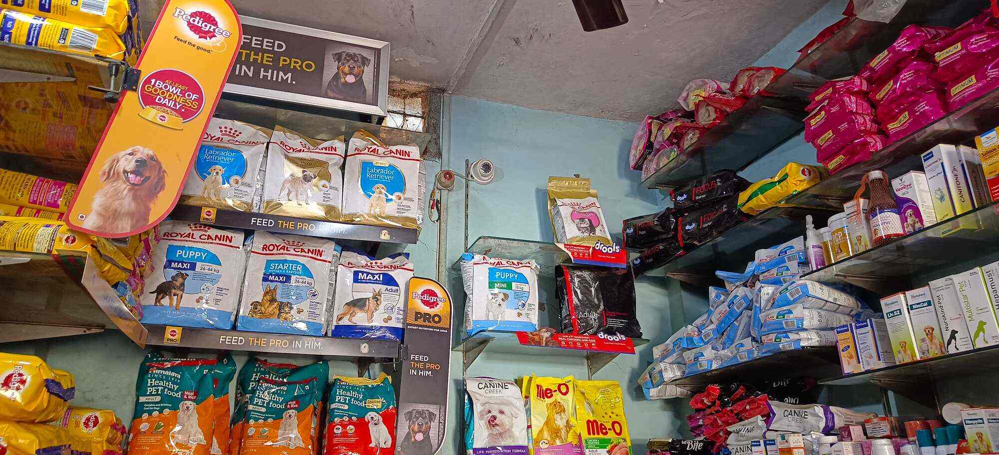 Dog Health Centre Pet Shop in Dhoomanganj Allahabad Best Pet