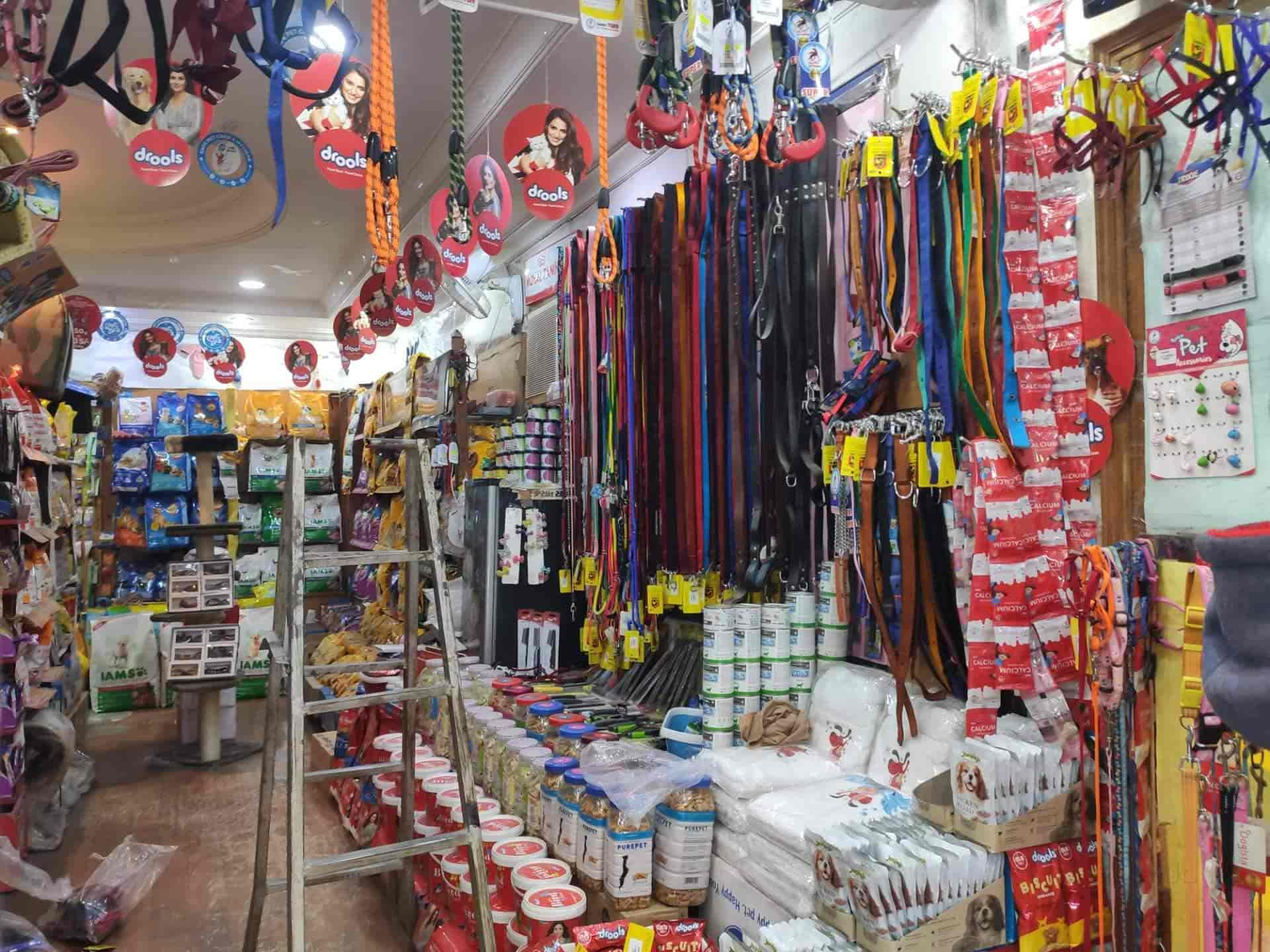 Dog accessories store near hot sale me