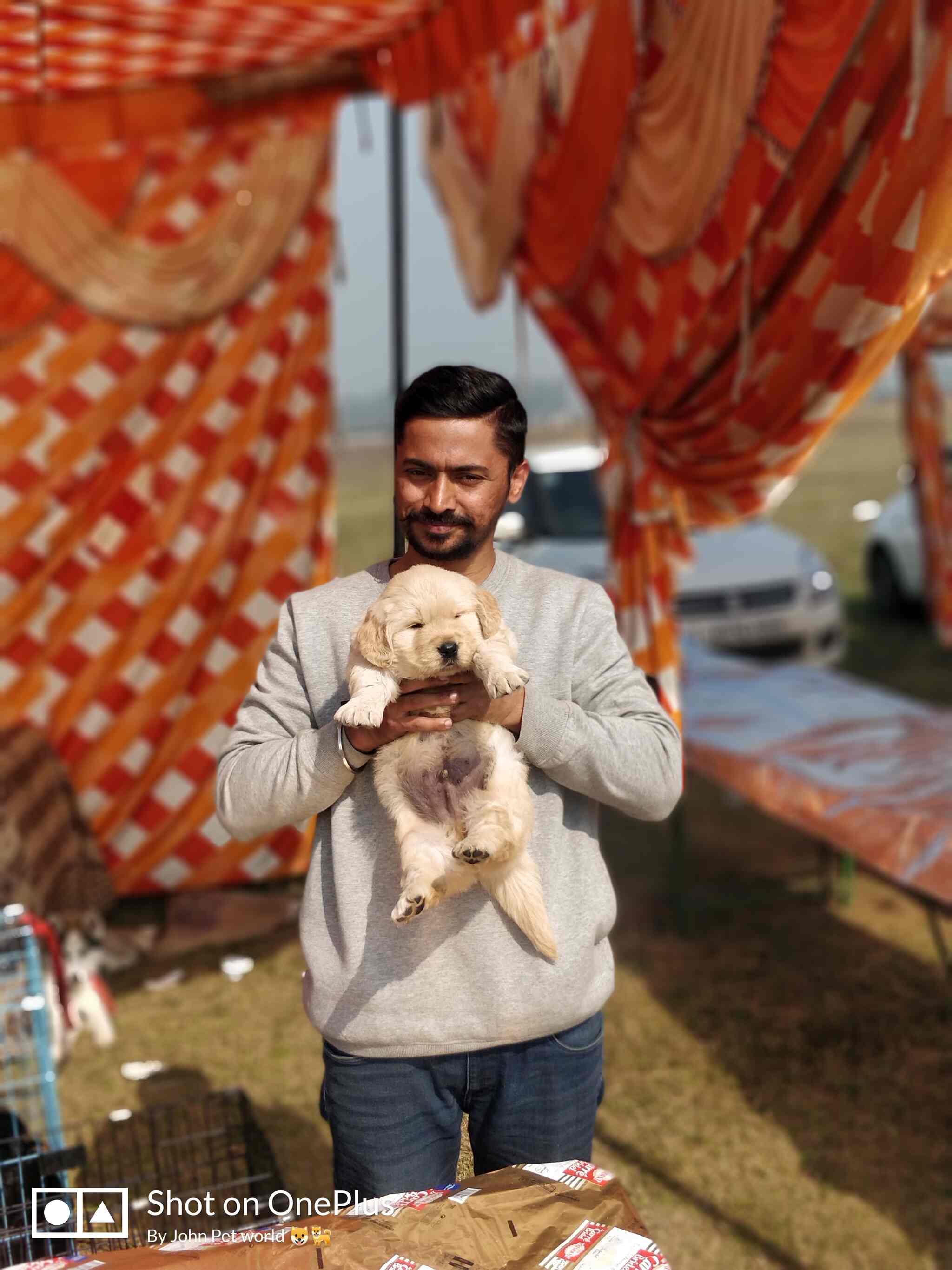 John Pet World Opposite Pespi Plant Pet Shops For Dog In Amritsar Justdial