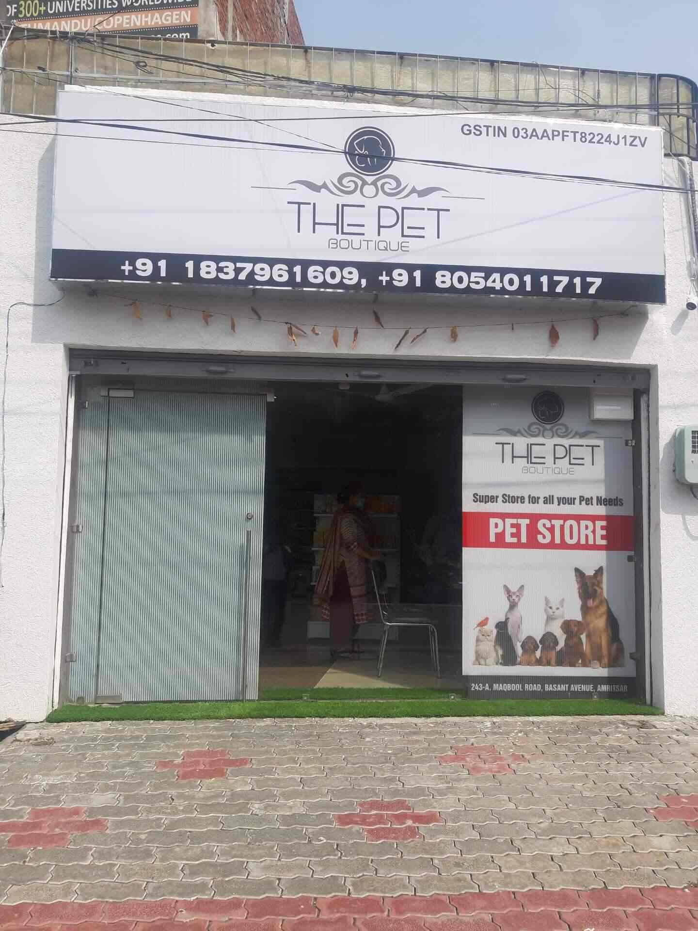 the pet boutique shop in Amritsar Best Pet Accessory Dealers in