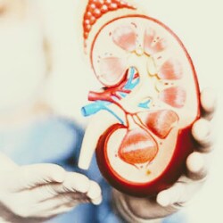 Nephron Kidney Hospital And Laser Centre Hospitals Book Appointment Online Hospitals In Anand Town Anand Justdial