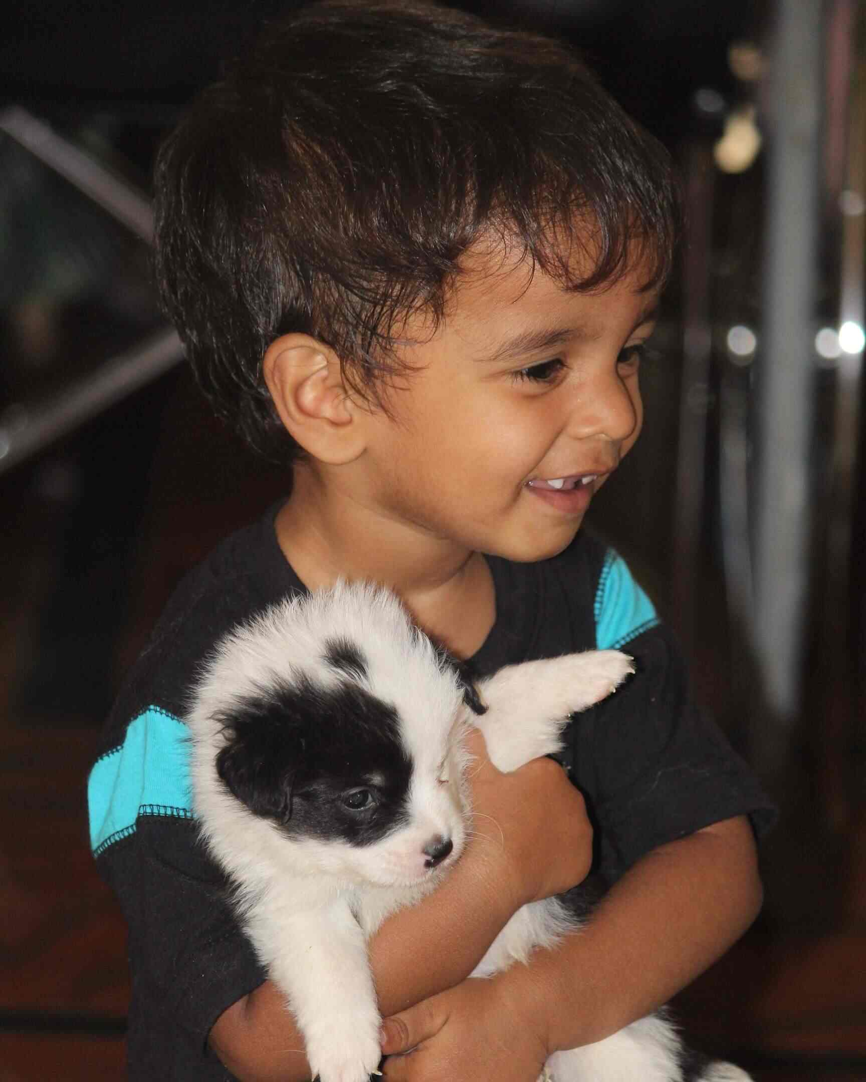 Aa Kennel Amrutha Pet World Sai Nagar Pet Shops For Dog In Anantapur Justdial