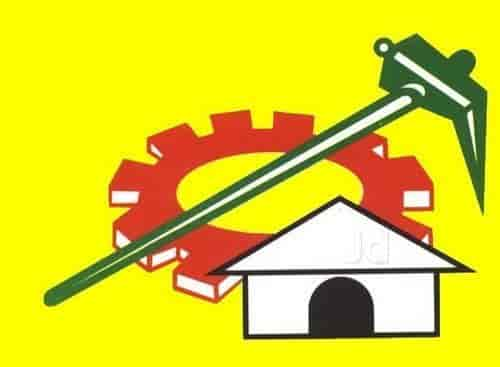 Image result for tdp party