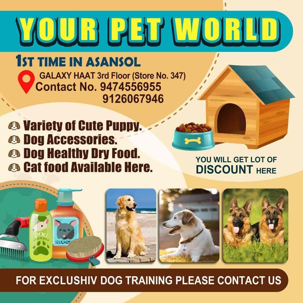 Discount sales pet world