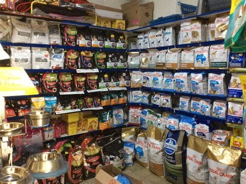 jeeva pet clinic jp nagar