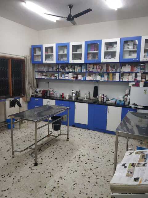 jeeva pet clinic jp nagar