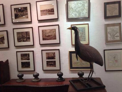 Abstract Art Gallery Cunningham Road Art Galleries In Bangalore Justdial