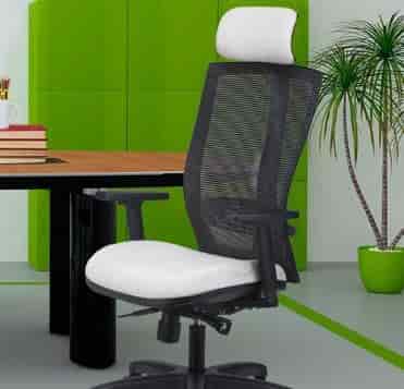 Executive Chair Transteel Office Chairs NILKAMAL Blaze Visitor