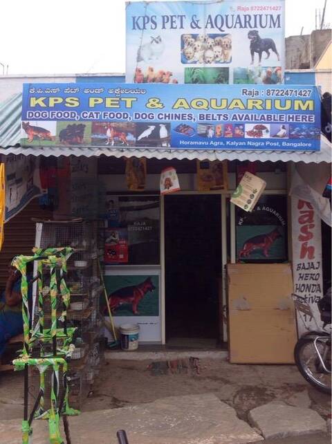 Kps Pet And Aquarium Horamavu Agara Pet Shops For Dog In Bangalore Justdial