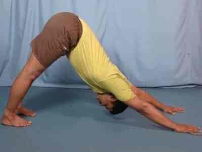 Sudarshan Yoga Banashankari 2nd Stage Yoga Classes In Bangalore Justdial