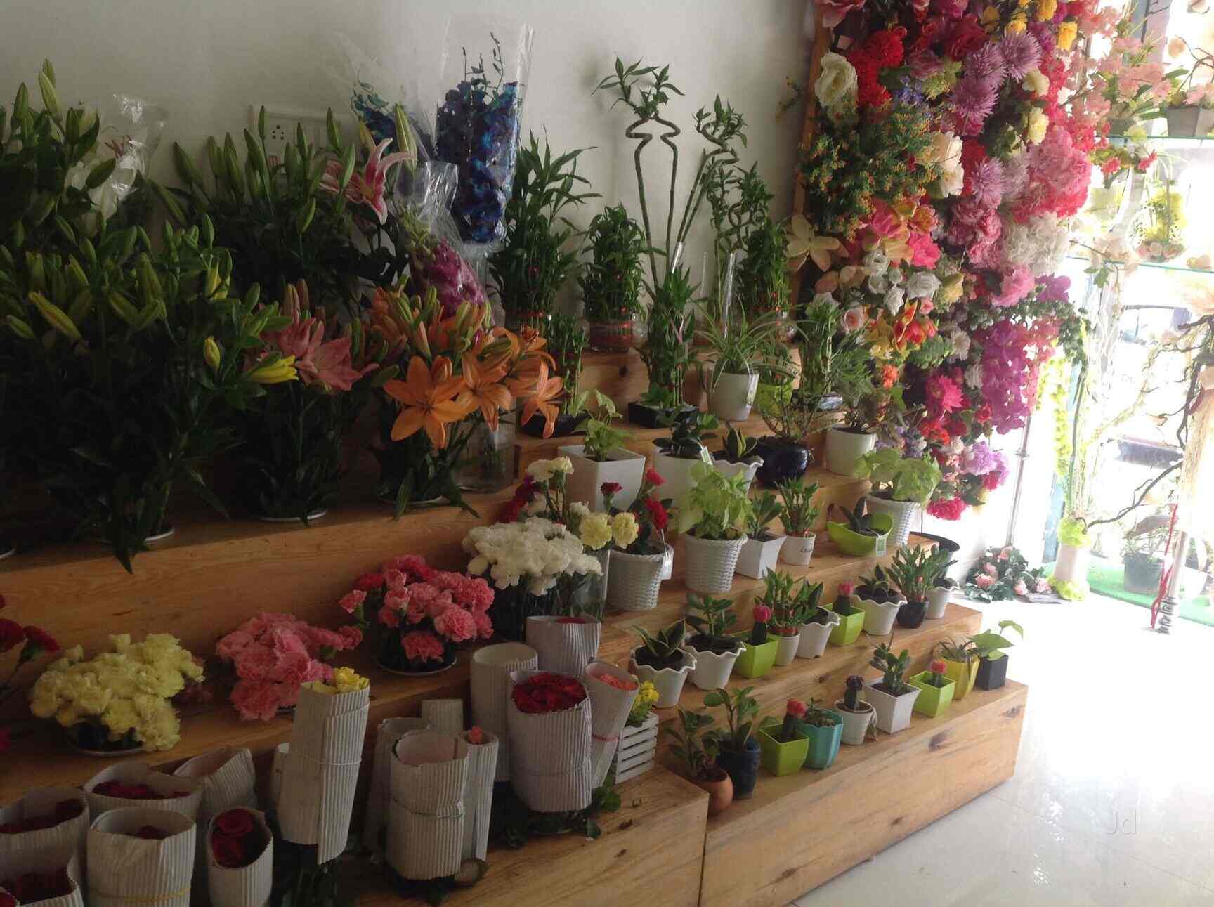 Ferns And Petals Bangalore