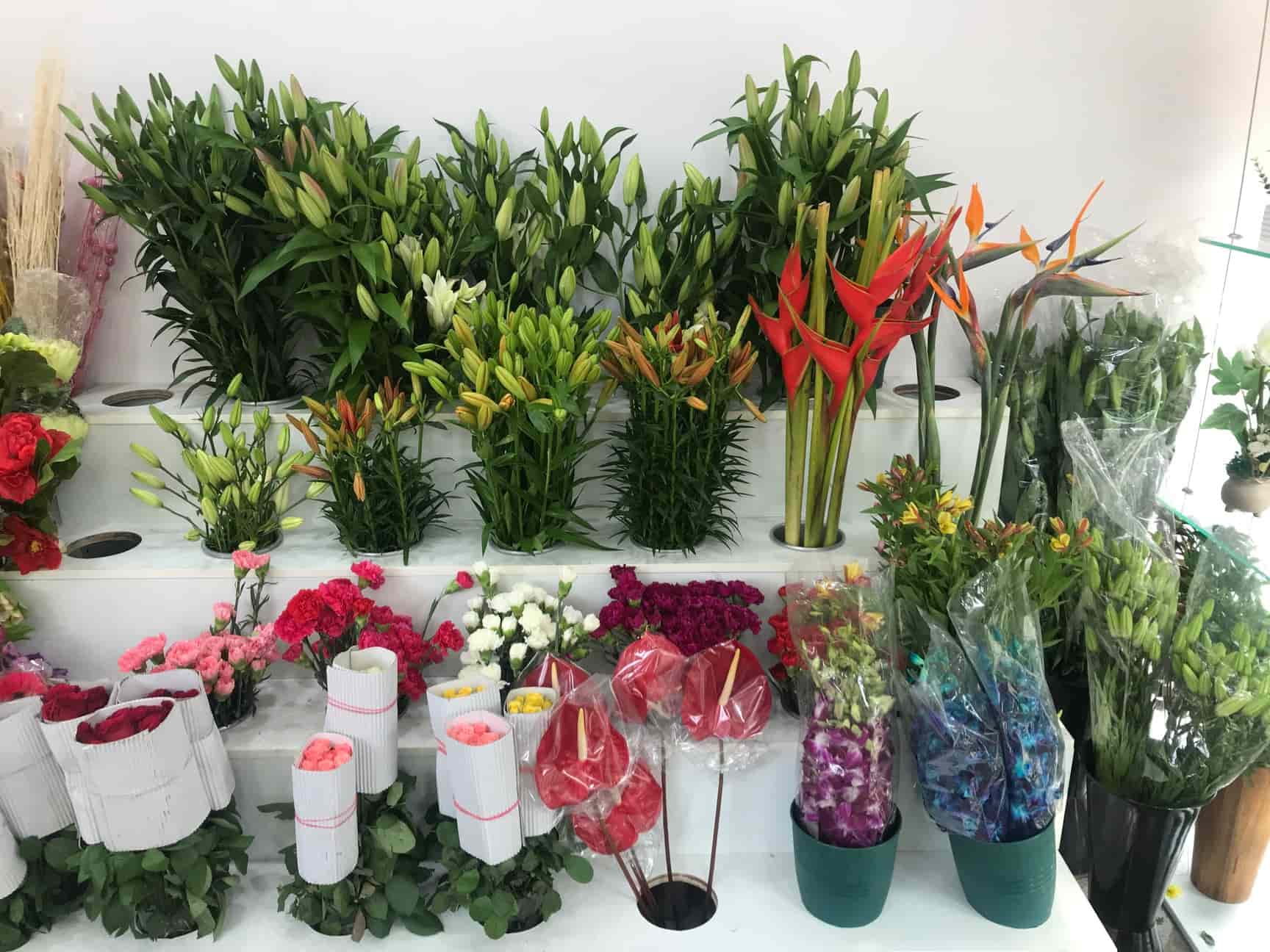 Ferns And Petals Bangalore