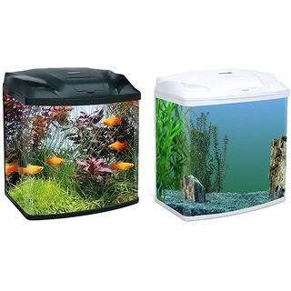 Dr Petsmart Sunkadakatte Aquariums In Bangalore Justdial