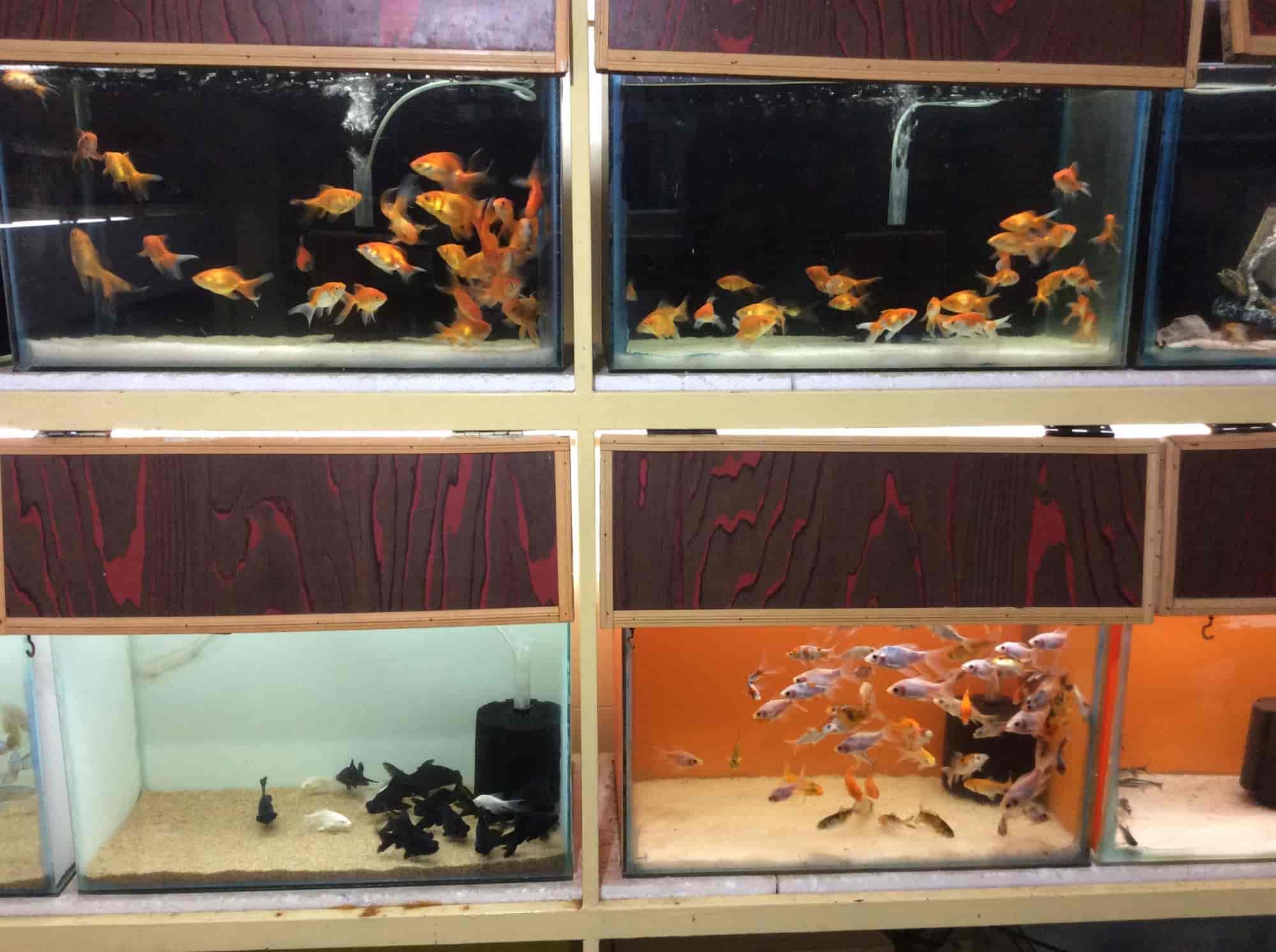 nearest aquatic shop