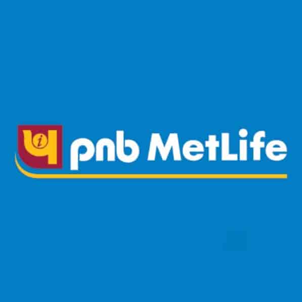 Mg Insurance Company / Solved You Have A Summer Job With