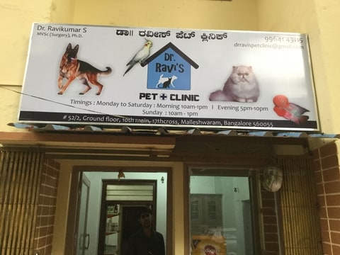 omega 3 for dogs side effects