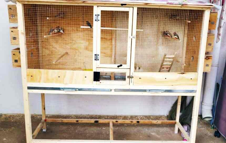 Building Wooden Bird Cage