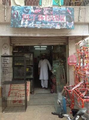 pet market shivaji nagar