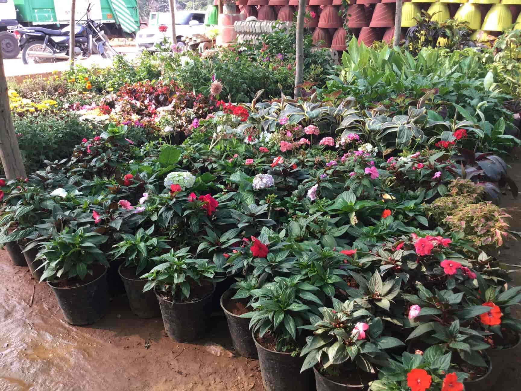 Md Haseeb Nursery Cement Pot Makers Yelahanka Plant Nurseries In Bangalore Justdial