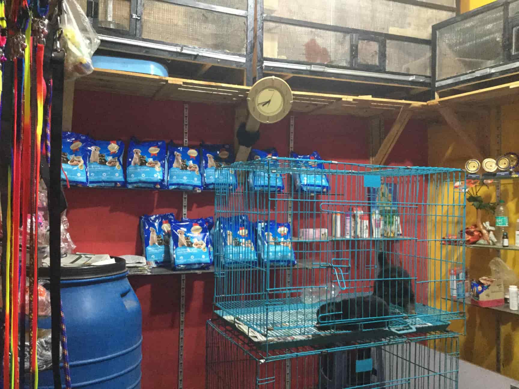 Manoj Pet Shop Kennel Photos, Rt Nagar, Bangalore- Pictures & Images
