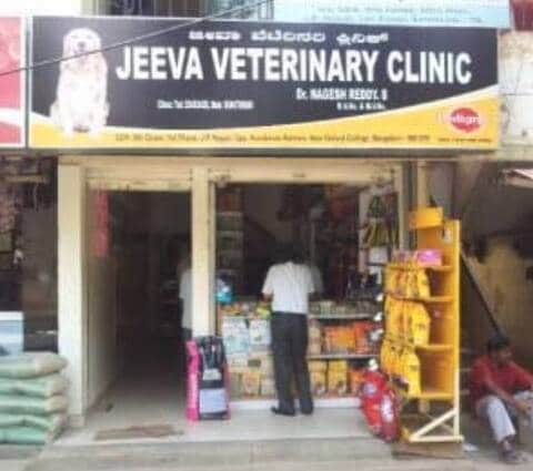jeeva pet clinic jp nagar