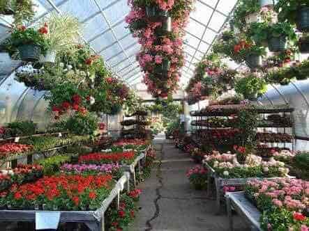 Green View Nursery Photos Gunjur Bangalore Pictures Images Inside View Of Nursery Green Photos Gunjur Bangalore Indoor