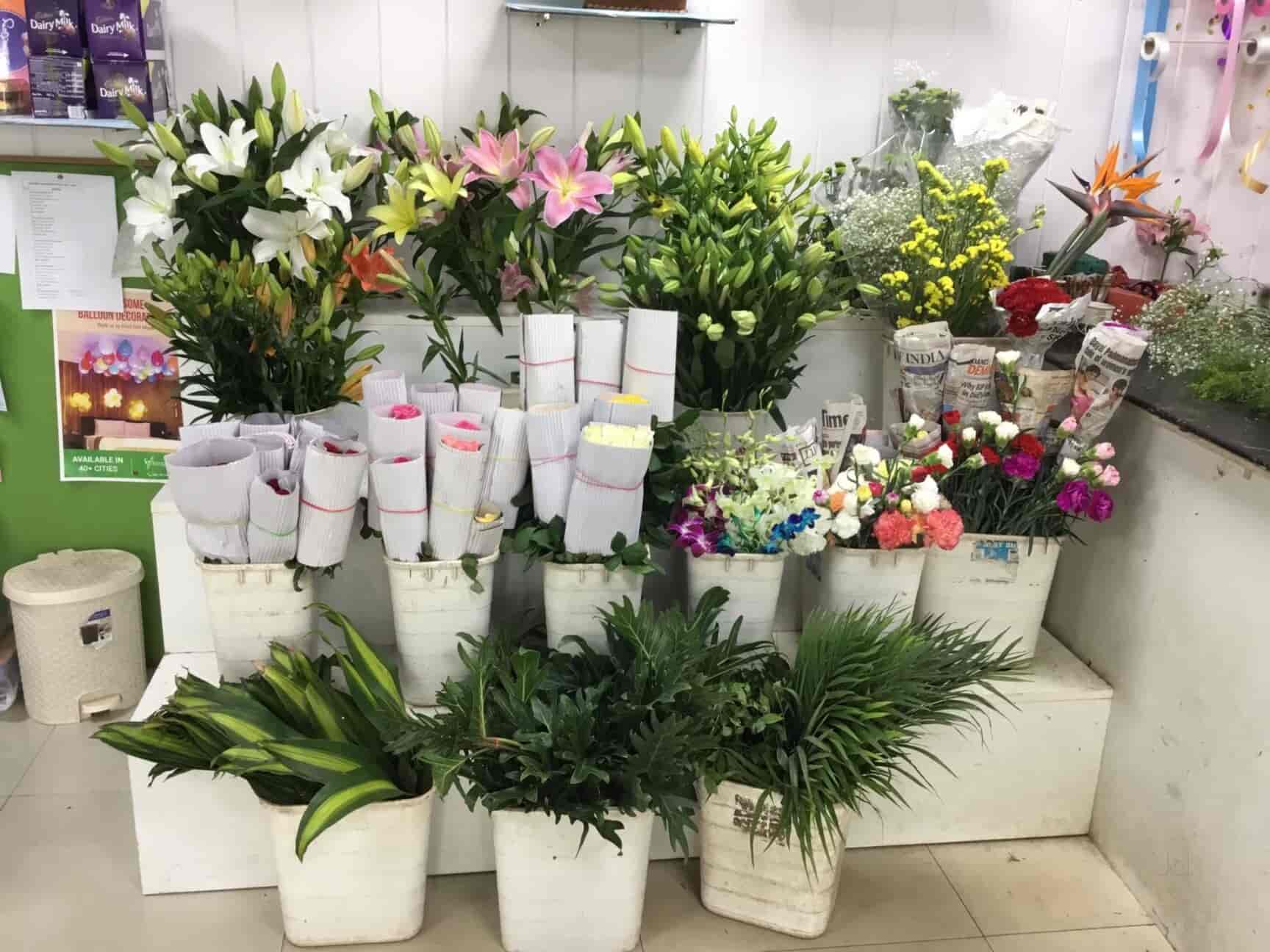 Ferns And Petals Bangalore atelieryuwa.ciao.jp