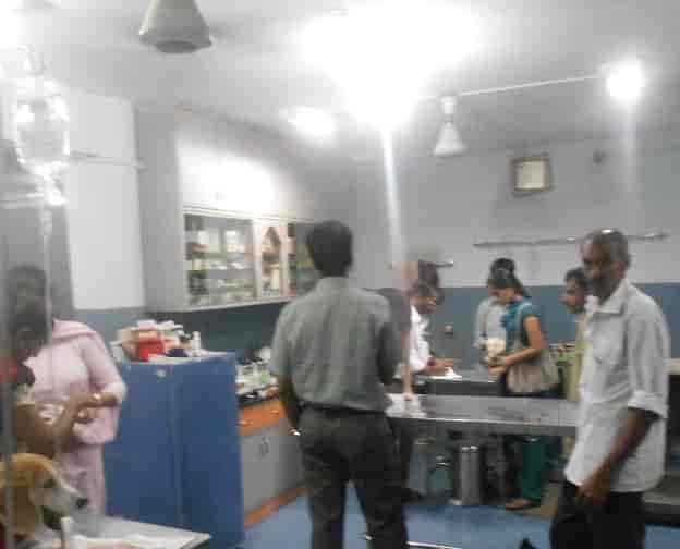 lakeside veterinary clinic