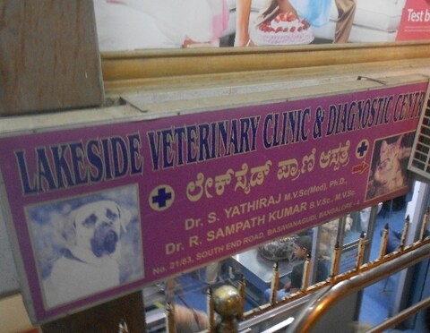 lakeside veterinary clinic