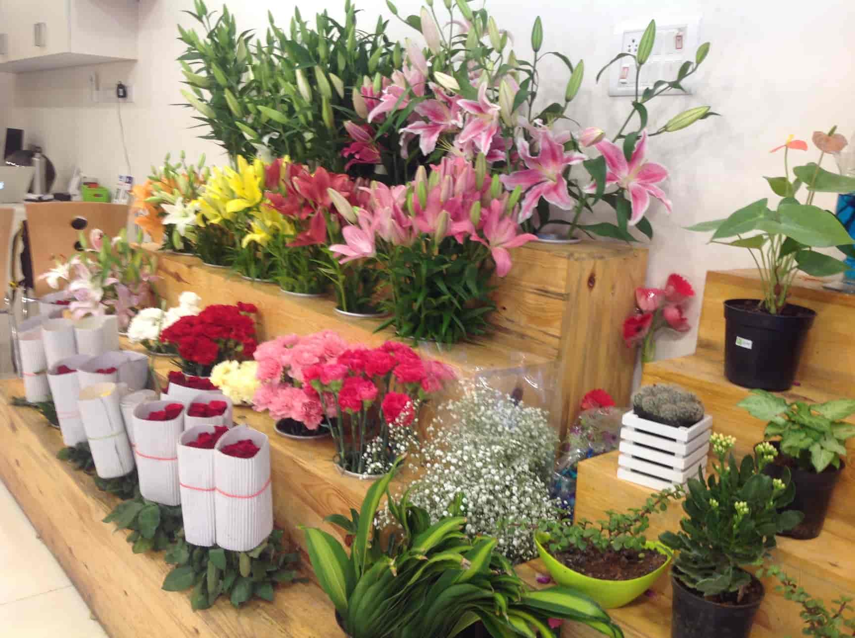 Ferns N Petals Flower Delivery In Bangalore Bengaluru Karnataka Best