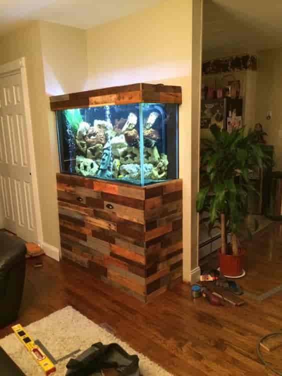 Fish Tank Cabinet Manufacturer Photos Bommanahalli Idukki
