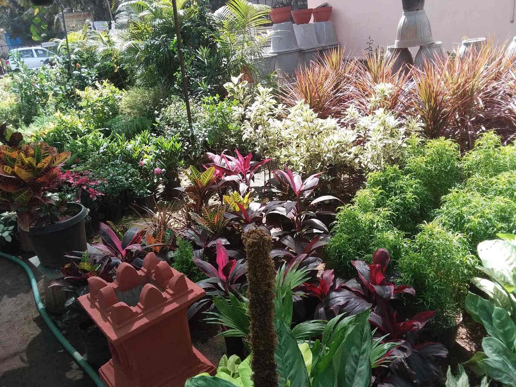 Garden Pots Bangalore Fasci Garden