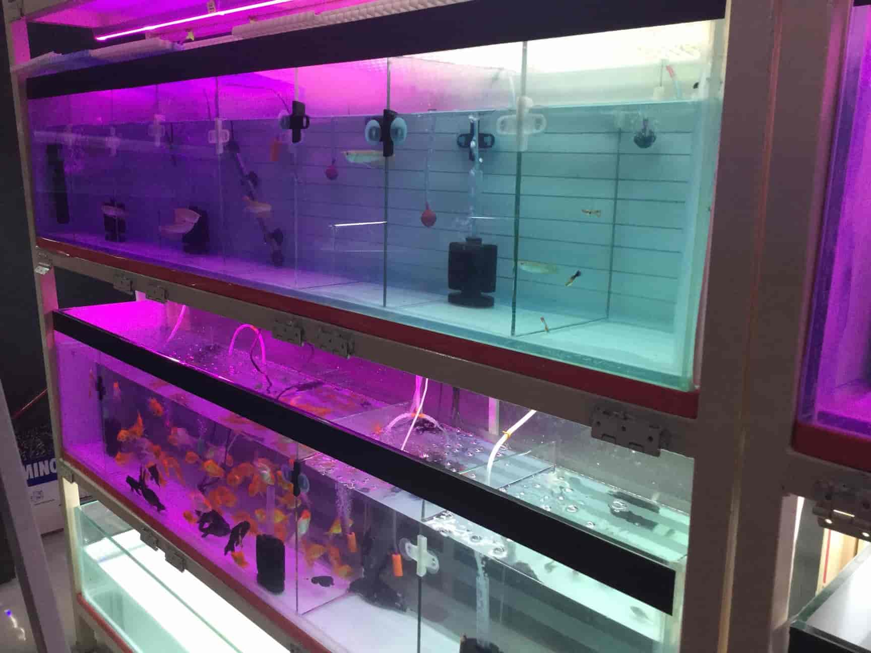 aqua pet shop near me