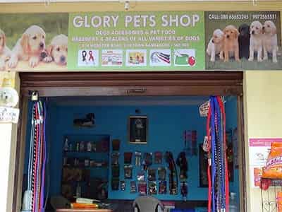 glory petshop