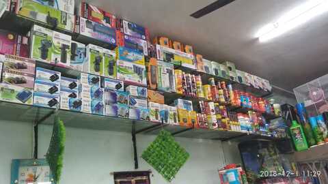 A M Fish N Fun Btm Layout 1st Stage Pet Shops For Dog In Bangalore Justdial