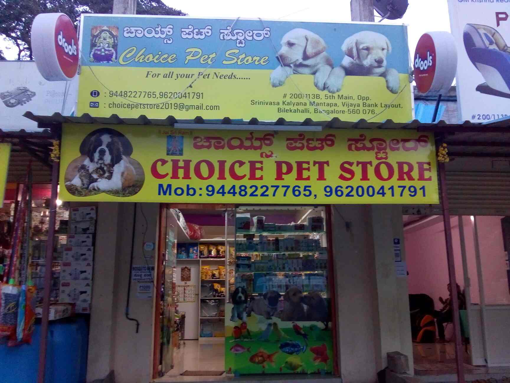 choice pet store