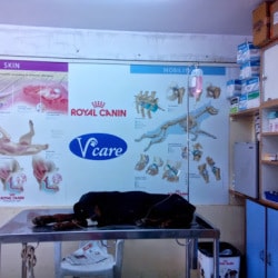 v care pet clinic whitefield